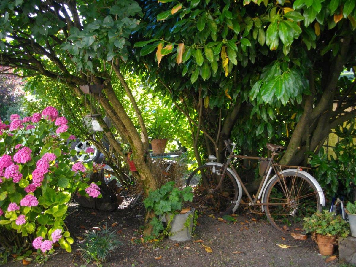 Au Bois Dormant Bed & Breakfast Huby-Saint-Leu Bagian luar foto