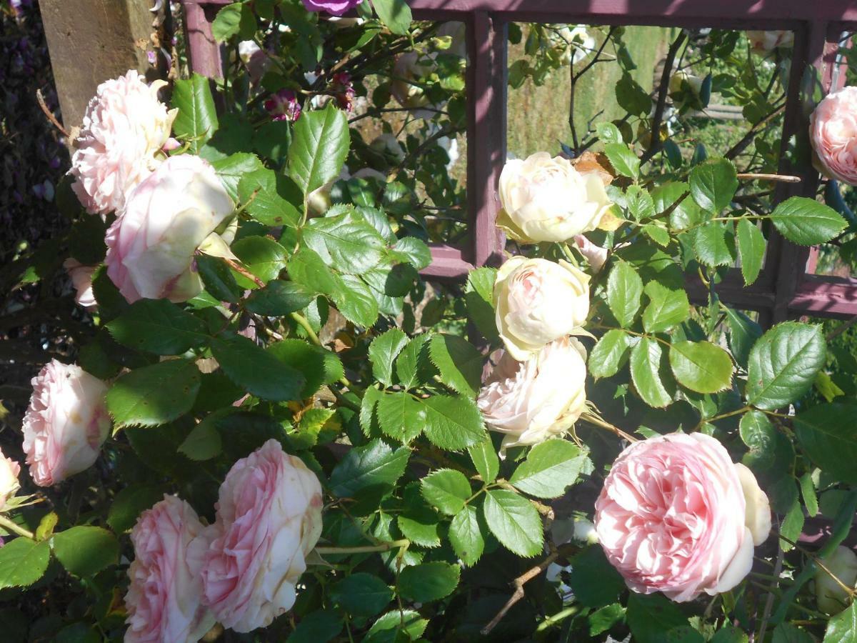 Au Bois Dormant Bed & Breakfast Huby-Saint-Leu Bagian luar foto